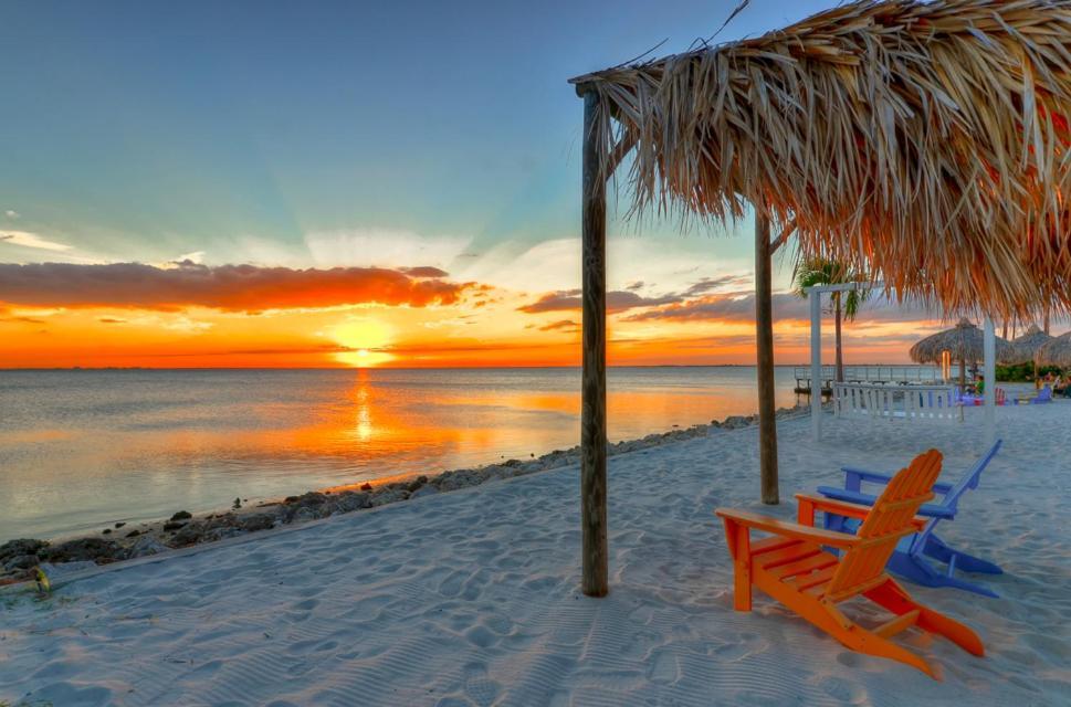 202-Pool, Wifi, Close To Bucs Stadium Tampa Ngoại thất bức ảnh