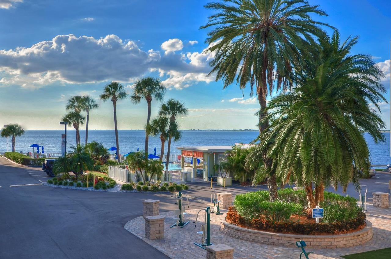 202-Pool, Wifi, Close To Bucs Stadium Tampa Ngoại thất bức ảnh
