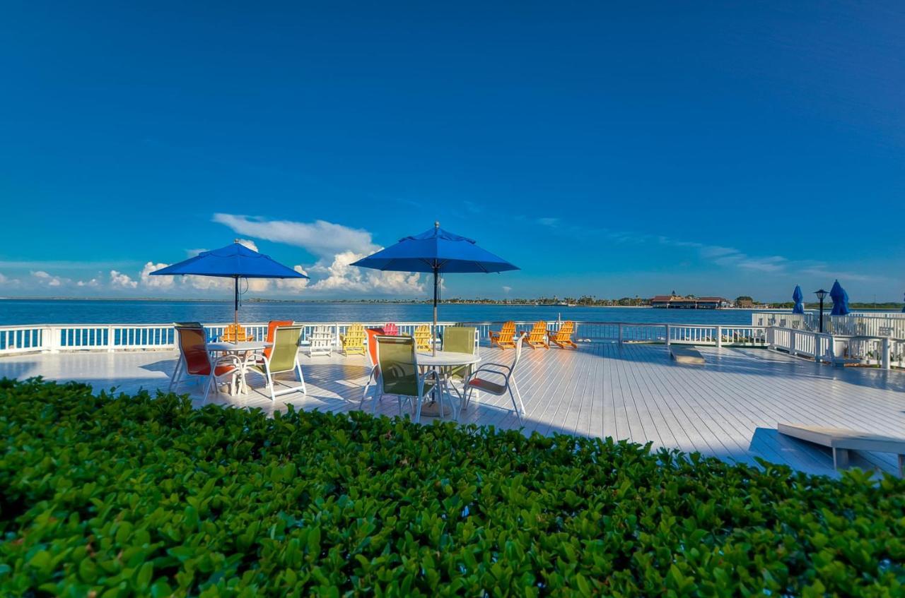 202-Pool, Wifi, Close To Bucs Stadium Tampa Ngoại thất bức ảnh