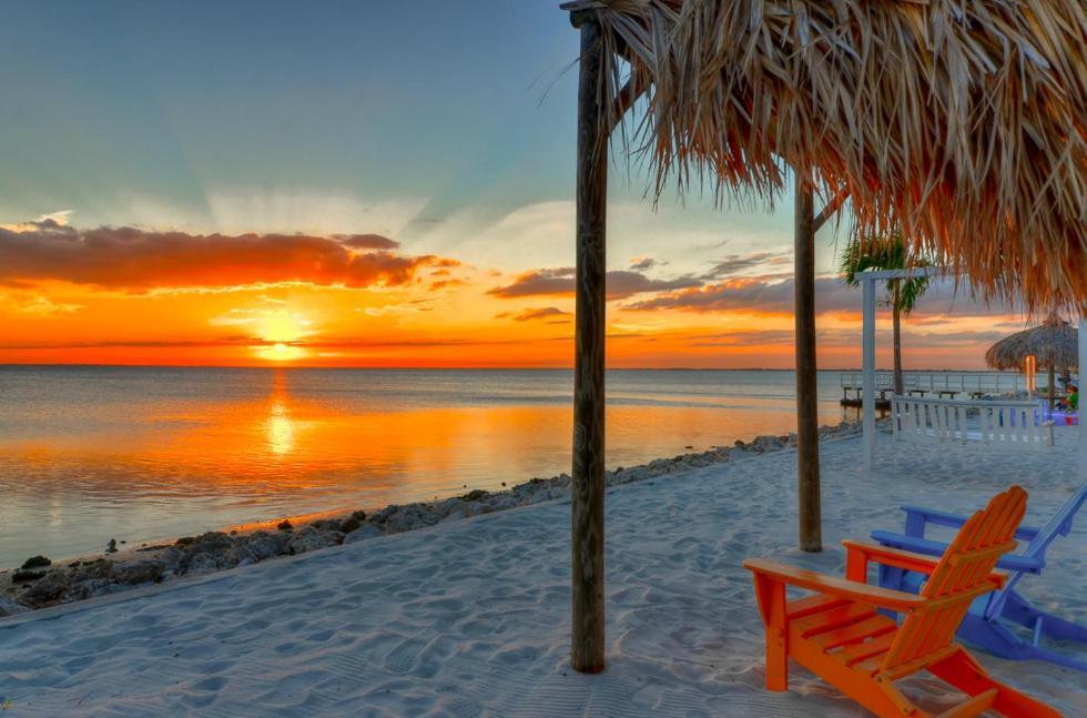 202-Pool, Wifi, Close To Bucs Stadium Tampa Ngoại thất bức ảnh